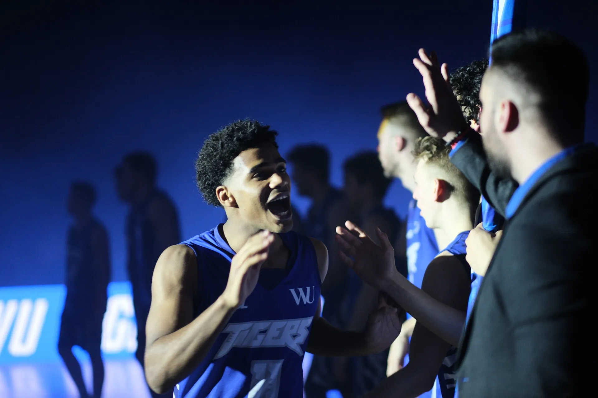 Georg Kropik - Portfolio Image